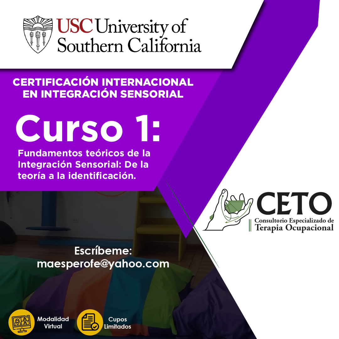 Curso de Integración Sensorial
