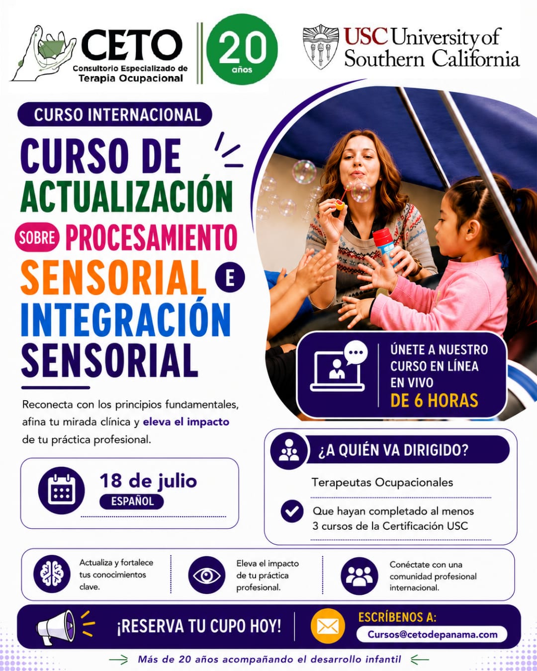 Curso-Introductorio-Integracion-Sensorial