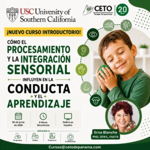 Curso-Introductorio-Integracion-Sensorial
