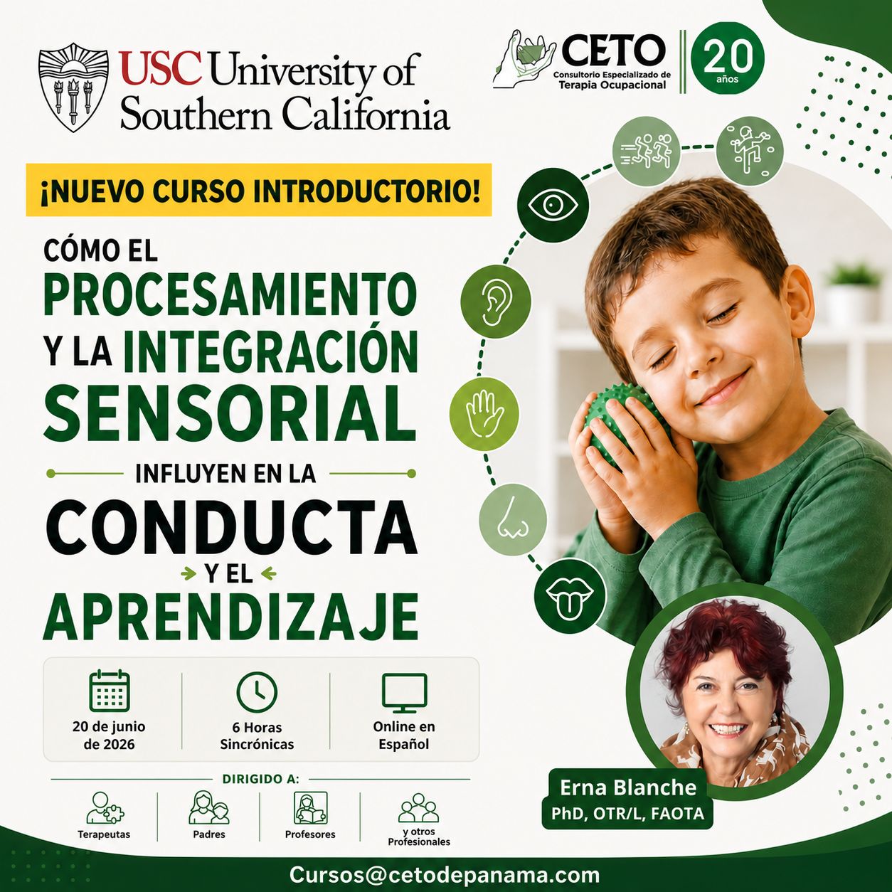 Curso-Introductorio-Integracion-Sensorial