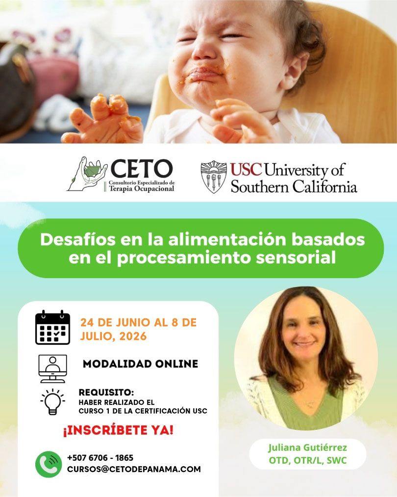 Curso-Introductorio-Integracion-Sensorial