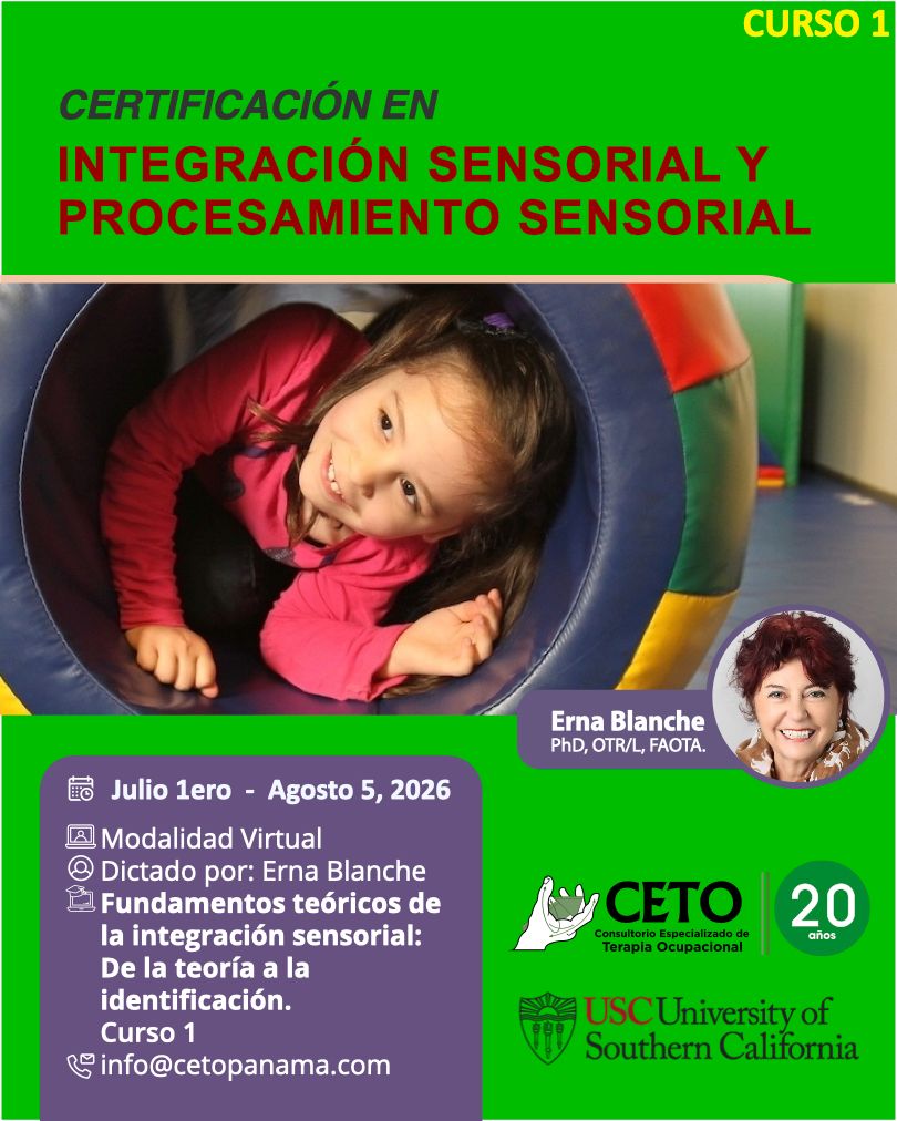 Curso 1 Integración Sensorial