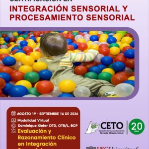 Curso 2 Integración Sensorial - 19 de agosto a 16 septiembre 2026